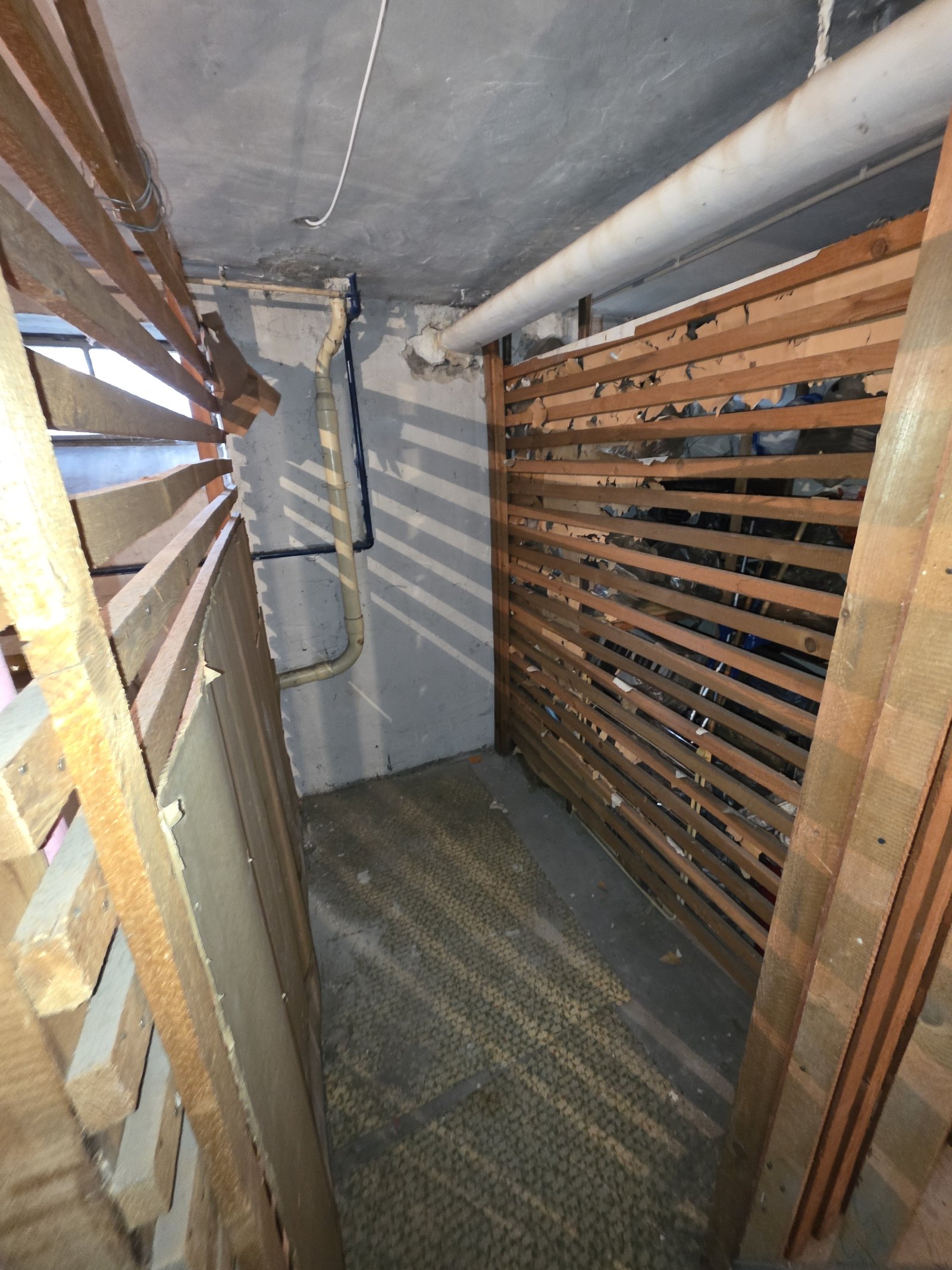 Neustadt an der Weinstraße: Keller / Lagerraum in Neustadt an der Weinstraße 